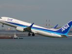 pesawat-air-nippon-airways-ana_20171229_103141.jpg