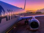 pesawat-american-airlines-pramugari-berhasil-hentikan-aksi-pencurian-di-pesawat.jpg