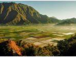 pesona-desa-sembalun-sumber-foto-istimewa.jpg