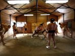 pesumo_20170725_175640.jpg