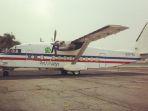 pet-airways.jpg