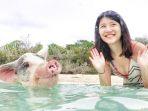 pig-island.jpg