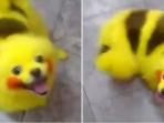 pikachu_20161123_165505.jpg