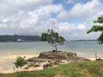 pintu-masuk-cagar-alam-nusa-kambangan-timur.jpg