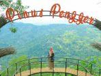 pinus-pengger-jogja.jpg