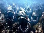 piranha_20171216_124856.jpg