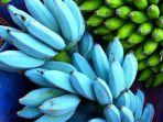 pisang-biru.jpg