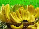 pisang_20160910_135023.jpg