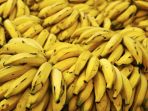 pisang_20170116_105743.jpg
