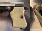 pistol-sepatu-ms.jpg