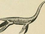 plesiosaurusreptil-yang-dikaitkan-erat-dengan-loch-ness.jpg