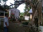 pohon-langsat-desa-pontak-induk_20160830_104312.jpg