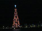 pohon-natal-di-rodrigo-de-freitas-lagoon-rio-de-janeiro.jpg