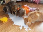 polah-aneh-hewan-dan-anak-kecil_20170421_131641.jpg