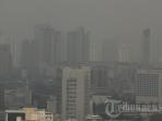 polusi-di-jakarta_20160828_155338.jpg