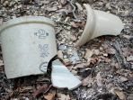 pot_20170426_150804.jpg