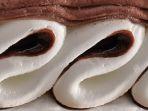 potongan-gambar-yang-menunjukkan-es-krim-viennetta.jpg