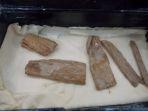 potongan-kayu-cedar-dalam-koleksi-museum.jpg