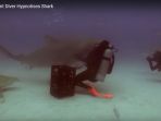 potongan-video-penyelam-yang-menghipnotis-hiu_20180906_130858.jpg