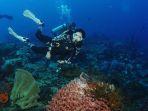 potret-gisella-anastasia-saat-diving.jpg