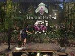 potret-pintu-masuk-orchid-forest-cikole.jpg