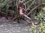 pria-telanjang-gambar-bakau.jpg