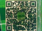 promosi-desa-yang-kreatif_20170918_154426.jpg