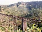 pt-kereta-api-indonesia-mengaktifkan-kembali-jalur-kereta-api.jpg