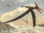 pterosaurus-reptil-bersayap.jpg