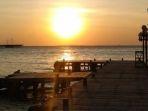 pulau-ayer-resort-di-kepulauan-seribu.jpg