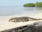 pulau-biawak_20180919_135710.jpg