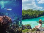 pulau-di-nusa-tenggara_20180801_182350.jpg