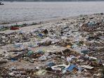 pulau-henderson-luar-teritori-inggris_20170722_210819.jpg