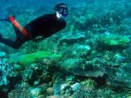 pulau-labengki_20170405_120934.jpg