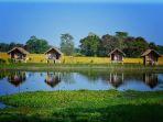 pulau-majuli-di-india.jpg