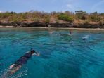 pulau-menjangan_20180321_181419.jpg