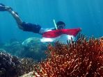 pulau-payung-payungan_20170218_174423.jpg