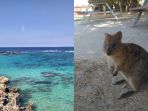 pulau-rottnest_20171126_115731.jpg