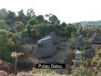 pulau-sabu_20180805_140733.jpg