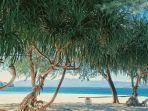 pulau-saronde-img.jpg