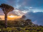 pulau-socotra_20180831_151440.jpg