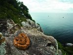 pulau-ular_20170207_210422.jpg