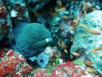 pulau-weh_20161016_214546.jpg