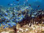 pulau-weh_20161016_214952.jpg