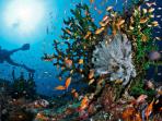 pulau-weh_20161016_215121.jpg