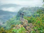 puncak-lalana-di-bogor.jpg