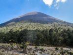 puncak-mahameru-gunung-semeru-dari-pos-kalimati.jpg