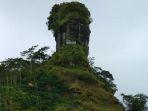 puncak-widosari-kulon-progo-2.jpg