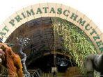 pusat-primata-schmutzer.jpg