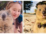 quokka.jpg